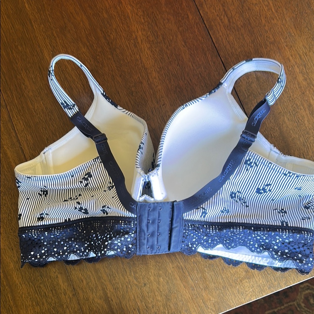 Floral Blue Lace Trim Bra 44c - Picture 4 of 6